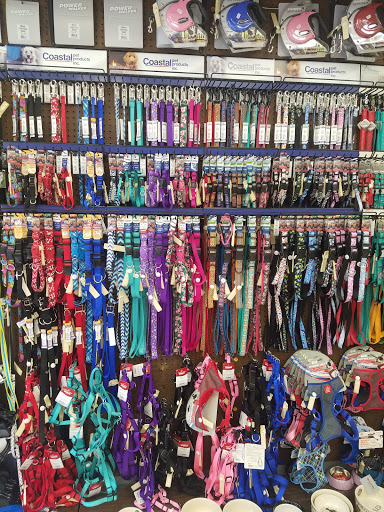 Pet Supply Store «Petland Discounts - Pelham», reviews and photos, 2175 White Plains Rd, Bronx, NY 10462, USA