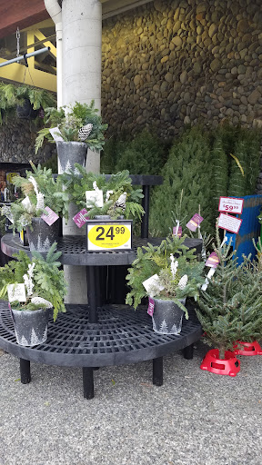 Grocery Store «Quality Food Center», reviews and photos, 1009 Monroe Ave, Enumclaw, WA 98022, USA