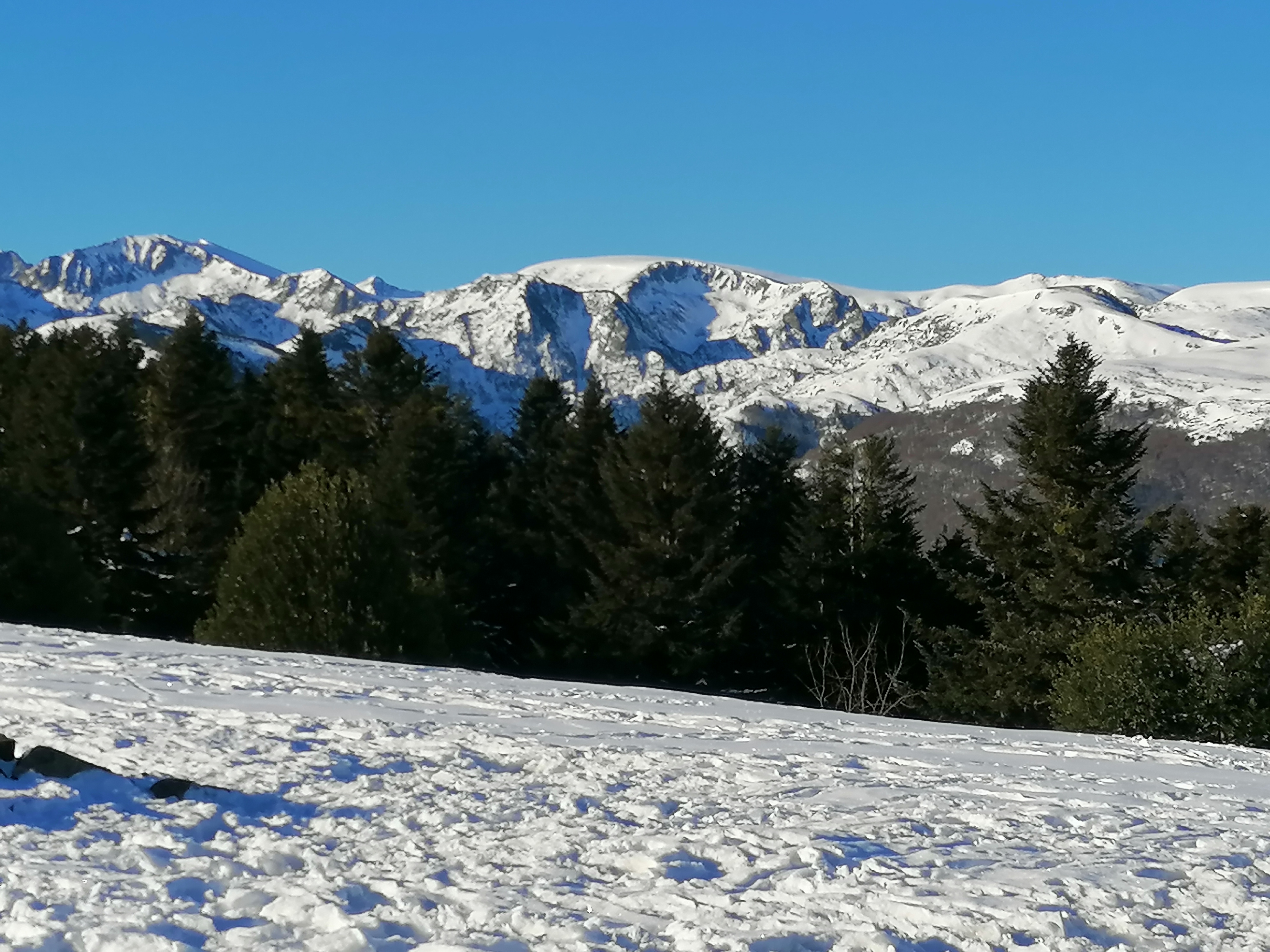 Photo n° 10 de l'avis de Thierry. fait le 05/02/2023 à 19:19