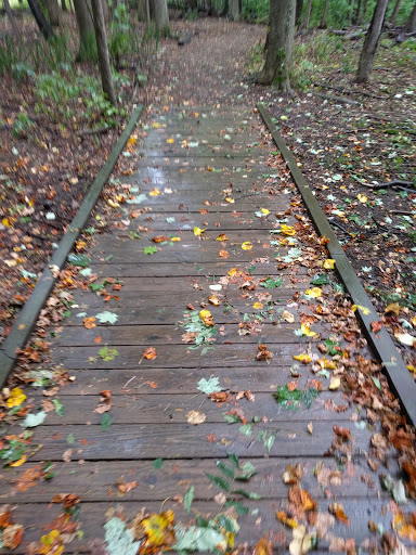 Nature Preserve «Princess Ledges Nature Preserve», reviews and photos, 4361 Spruce Ave, Brunswick, OH 44212, USA