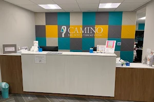 Camino Ear, Nose & Throat Clinic image