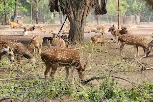 DEER PARK image