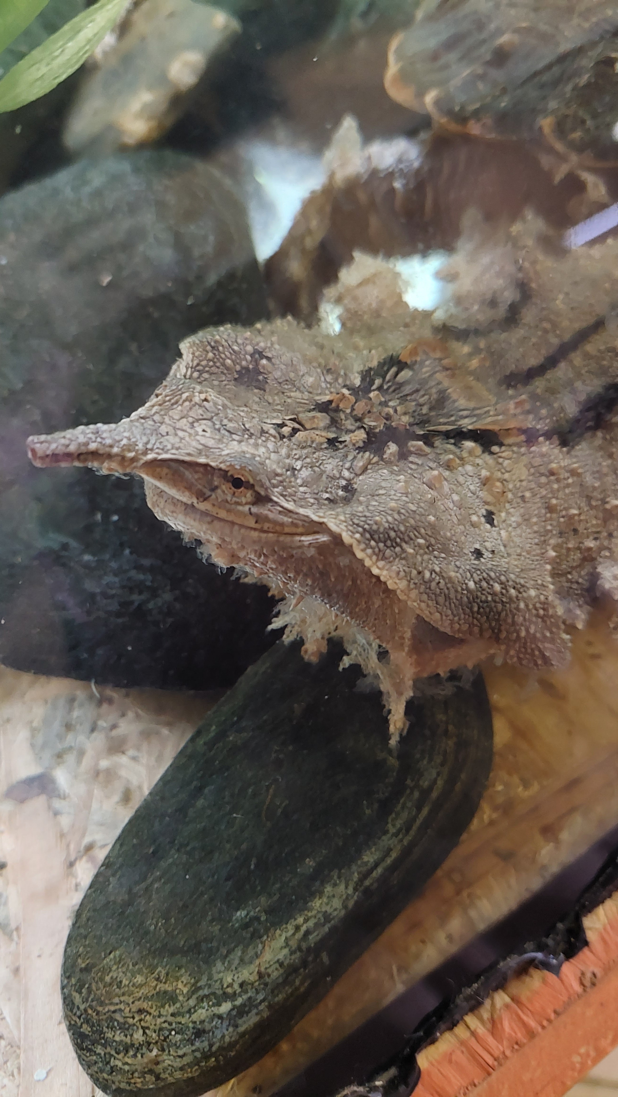 Photo n° 2 de l'avis de jean-baptiste.u fait le 11/03/2023 à 23:56