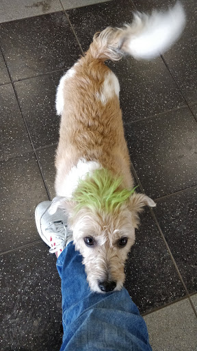 Mazda Dealer «Walser Mazda», reviews and photos, 14720 Buck Hill Rd, Burnsville, MN 55306, USA