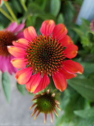 Home Improvement Store «The Home Depot», reviews and photos, 6921 Walton Ln, Gloucester Courthouse, VA 23061, USA