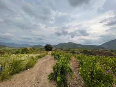 DEVAL' TROT à Roquebrun