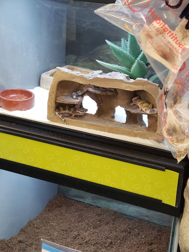 Pet Supply Store «Petco Animal Supplies», reviews and photos, 1660 Orchard Gateway Blvd, North Aurora, IL 60542, USA