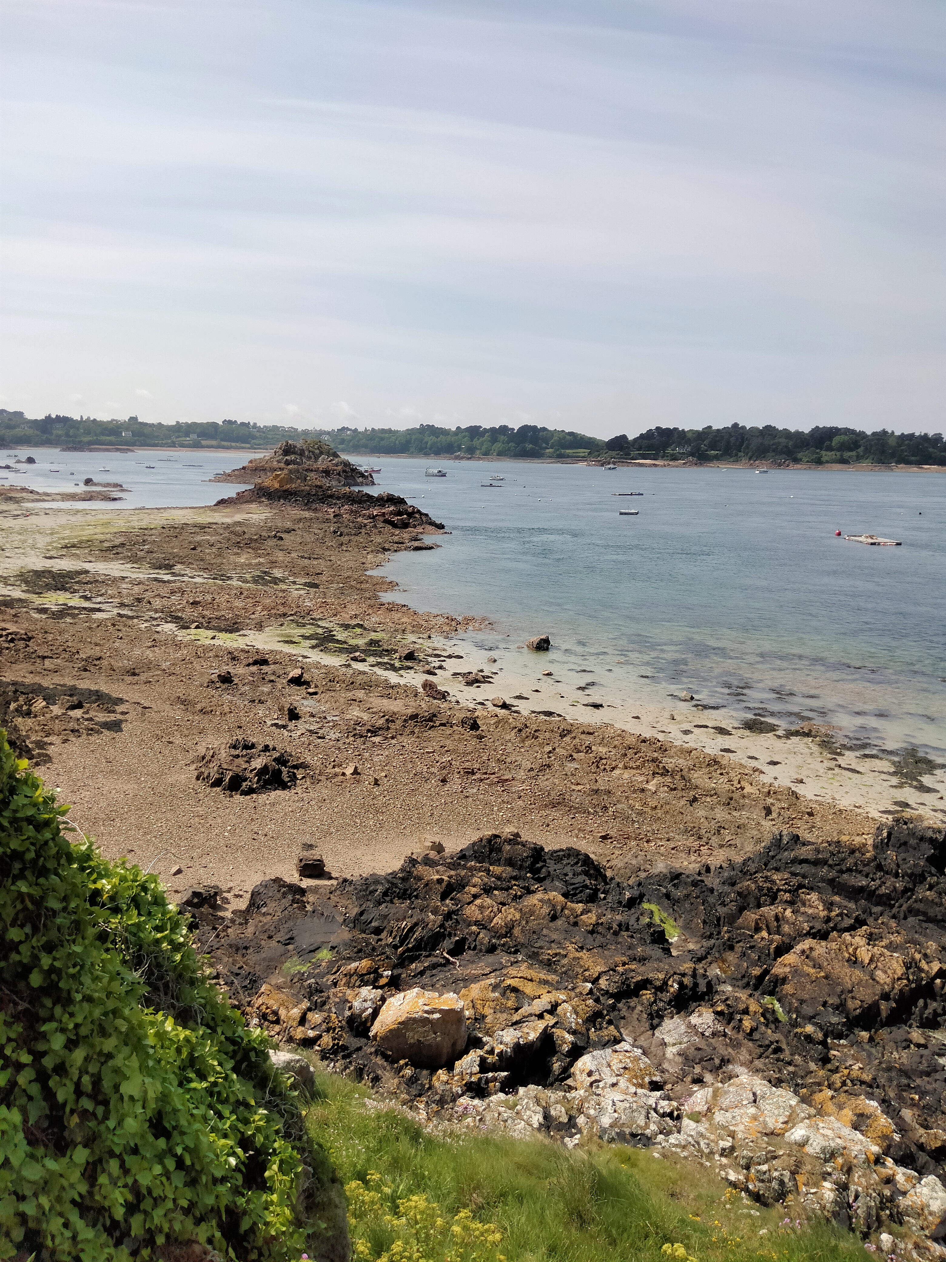 Photo n° 1 de l'avis de laurence.a fait le 19/05/2023 à 14:52