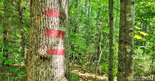 Tourist Attraction «North Anna Battlefield Park», reviews and photos, 11576 Verdon Rd, Doswell, VA 23047, USA