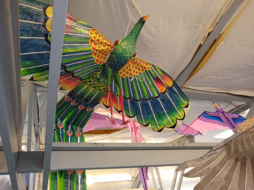 Museum «World Kite Museum & Hall-Fame», reviews and photos, 303 Sid Snyder Dr, Long Beach, WA 98631, USA