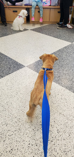 Pet Supply Store «Petco Animal Supplies», reviews and photos, 1100 Middle Country Rd, Selden, NY 11784, USA