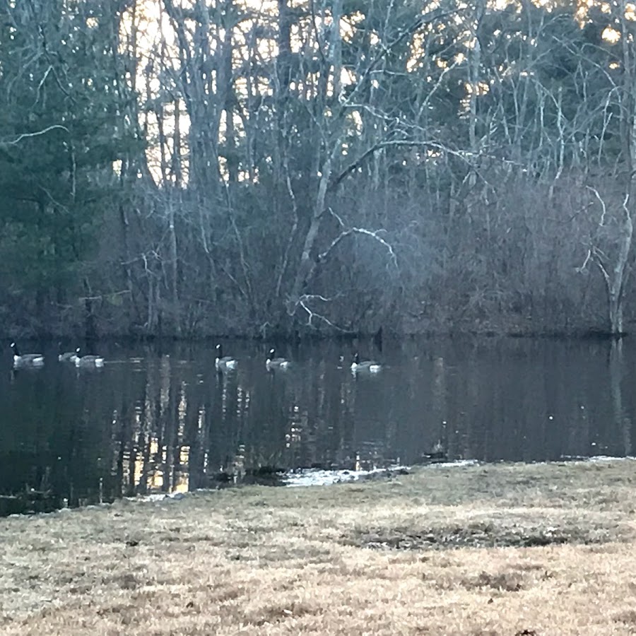 Bear Swamp Natural Area