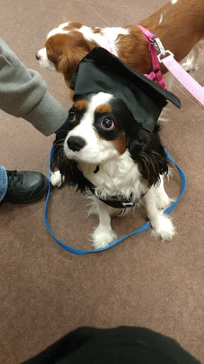 Pet Supply Store «PetSmart», reviews and photos, 369 Tarrytown Rd, White Plains, NY 10607, USA