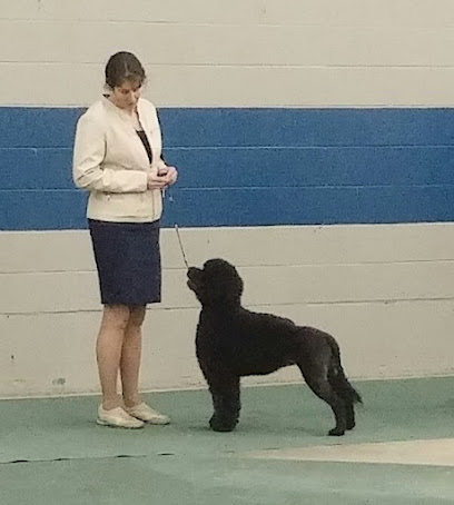 CSharp Portuguese Water Dogs