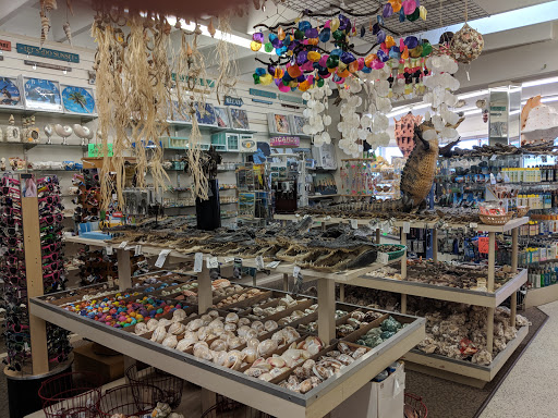 Gift Shop «Big Shark», reviews and photos, 2715 N Atlantic Ave, Daytona Beach, FL 32118, USA