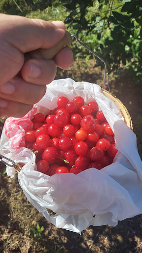 Produce Market «Race Farm», reviews and photos, 87 Belcher Rd, Blairstown, NJ 07825, USA