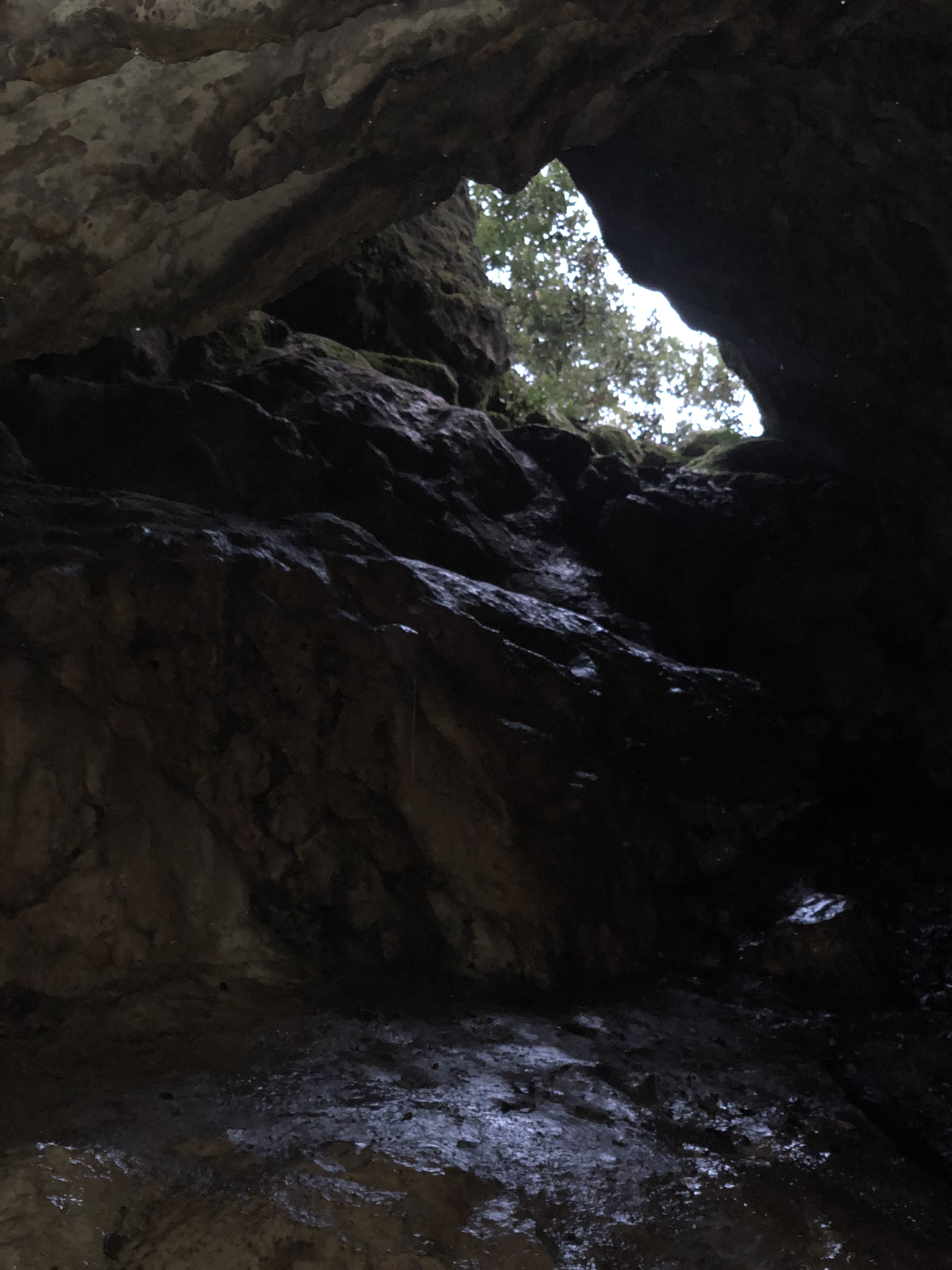 Photo n° 2 de l'avis de Lee.h fait le 11/11/2018 à 17:29