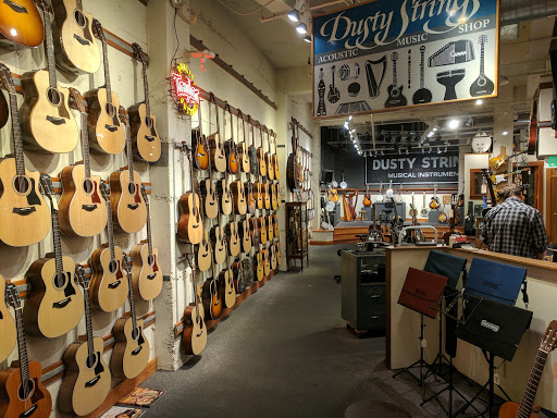 Dusty Strings Music Store & School