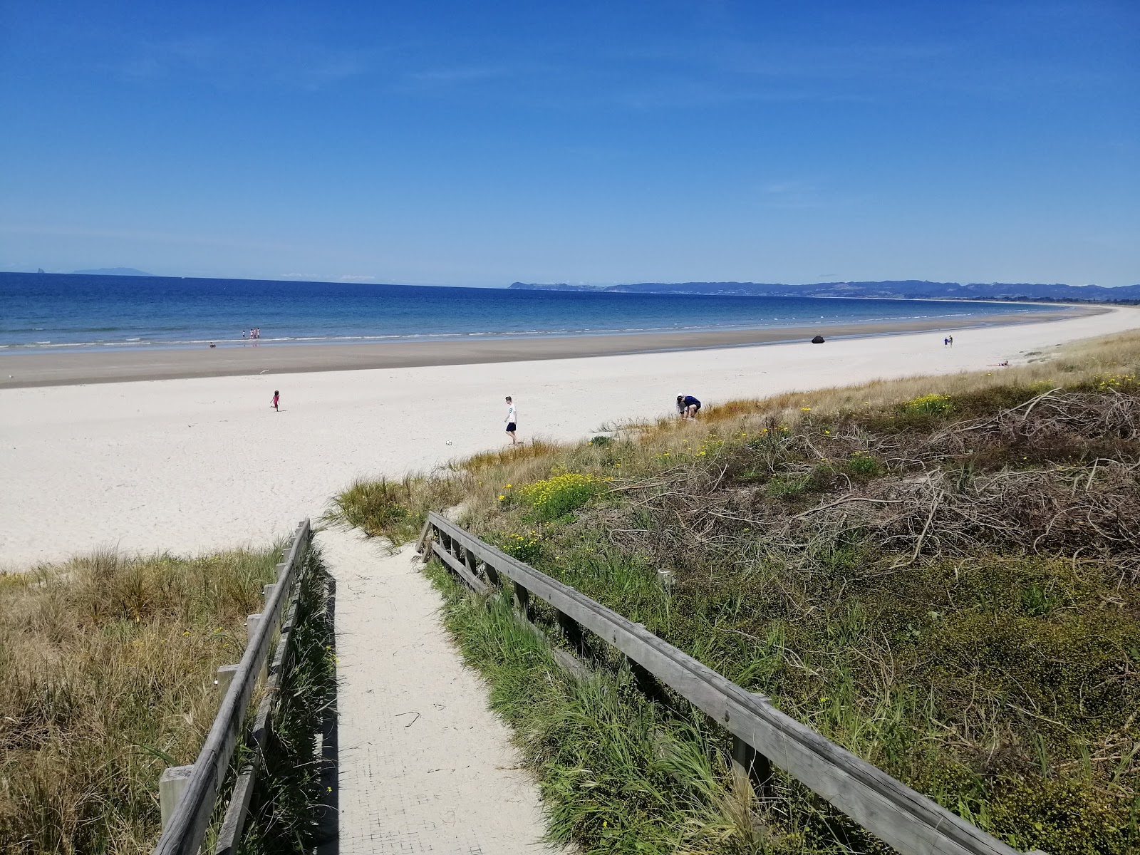 Zdjęcie Ruakaka Beach obszar udogodnień