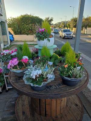 La Vie est une Fleur, Fleuriste La Seyne sur Mer à La Seyne-sur-Mer