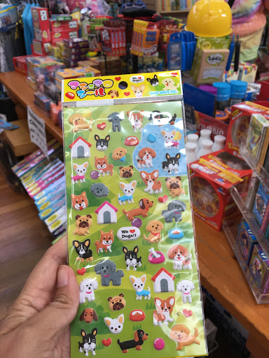 Toy Store «Spunky Skunk», reviews and photos, 344 N Franklin St, Fort Bragg, CA 95437, USA