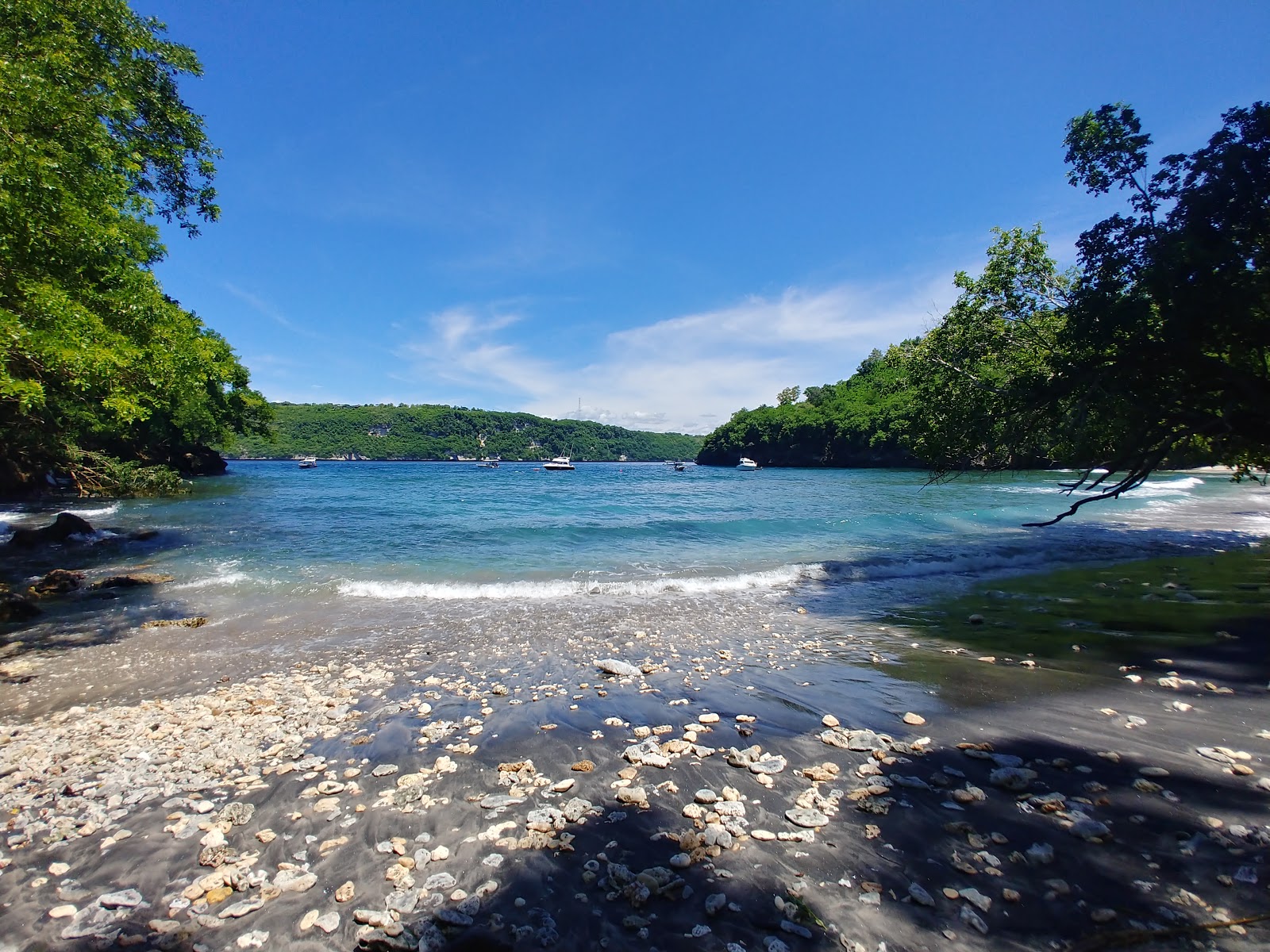 Foto van Gamat Bay met turquoise puur water oppervlakte