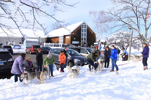 Pet Supply Store «Appalachian Tails Pet Company», reviews and photos, 119 Griswold St, Glastonbury, CT 06033, USA