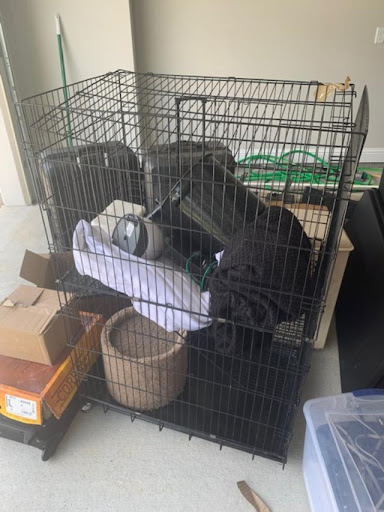 Moving and Storage Service «All My Sons Moving & Storage», reviews and photos, 11848 S Harrells Ferry Rd, Baton Rouge, LA 70816, USA