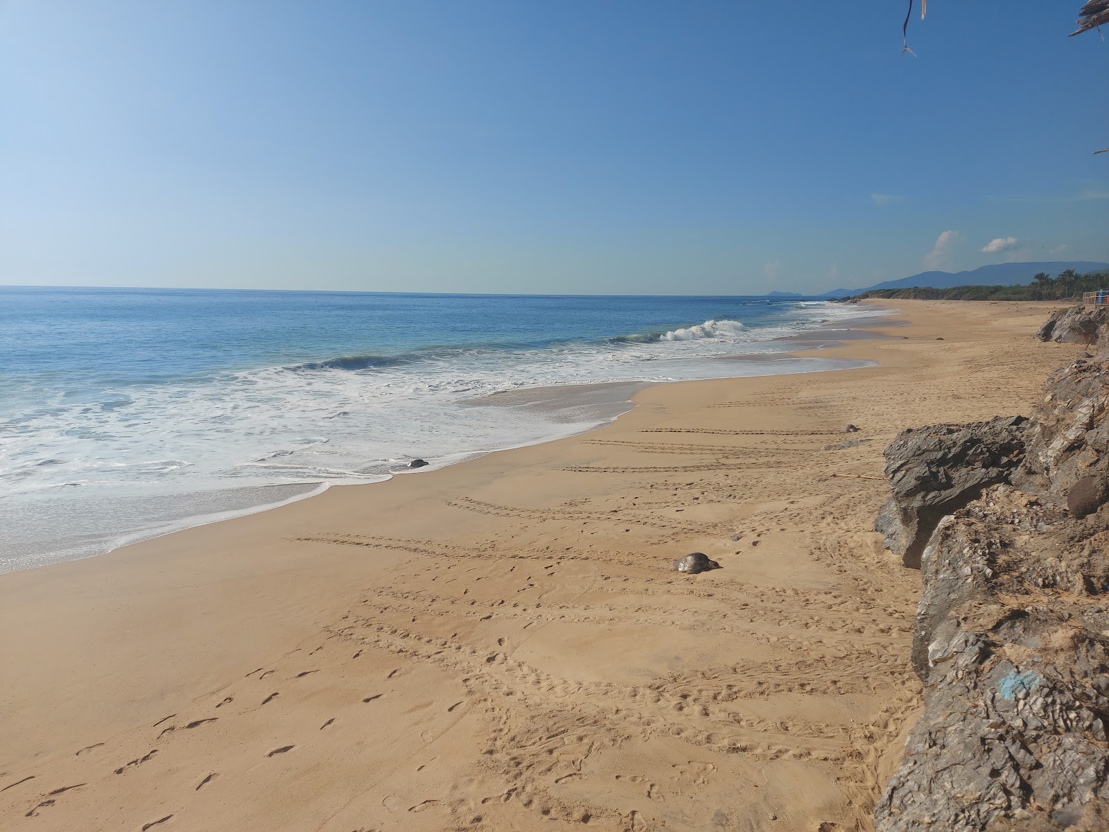 Photo de Ixtapilla beach avec sable fin brun de surface