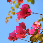 Photo n°3 de l'avis de Joshua.o fait le 10/08/2020 à 20:43 sur le  Lido San Lorenzo à Marina Di San Lorenzo