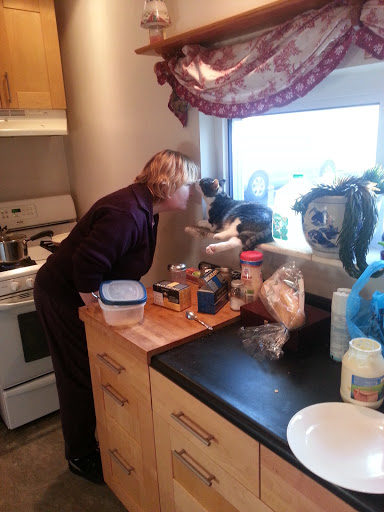 House Cleaning Service «Mr Maid Residential and Commercial Cleaning», reviews and photos, 2945 Brunot Ave, Pittsburgh, PA 15204, USA