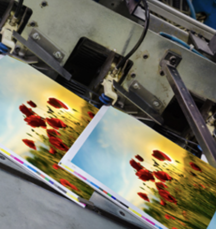 Print Shop «AlphaGraphics Cumberland Galleria», reviews and photos, 2030 Powers Ferry Rd SE #100, Atlanta, GA 30339, USA