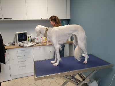Clinique Vétérinaire Epona à Bavay