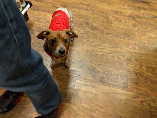 Pet Supply Store «EarthWise Pet Supply», reviews and photos, 7316 Yankee Rd, Liberty Township, OH 45044, USA