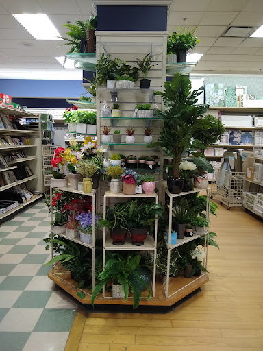 Home Goods Store «Christmas Tree Shops», reviews and photos, 15 Backus Ave Suite 42, Danbury, CT 06810, USA