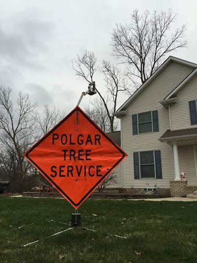 Polgar Tree Service & Removal LLC, 10617 Grosse Ile Pkwy, Grosse Ile Township, MI 48138, Tree Service