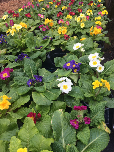 Produce Market «Highland Orchards Farm Market», reviews and photos, 1431 Foulk Rd, Wilmington, DE 19803, USA