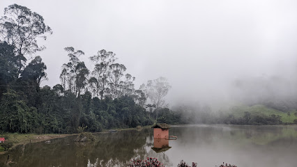 Laguna El Dintel
