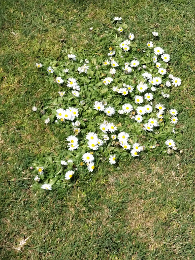 Golf Club «Paso Robles Golf Club», reviews and photos, 1600 Country Club Dr, Paso Robles, CA 93446, USA