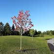 Centrepointe Park