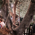 Photo n°1 de l'avis de Piera.r fait le 26/09/2022 à 18:04 sur le  Chalet Degli Ulivi à Vieste