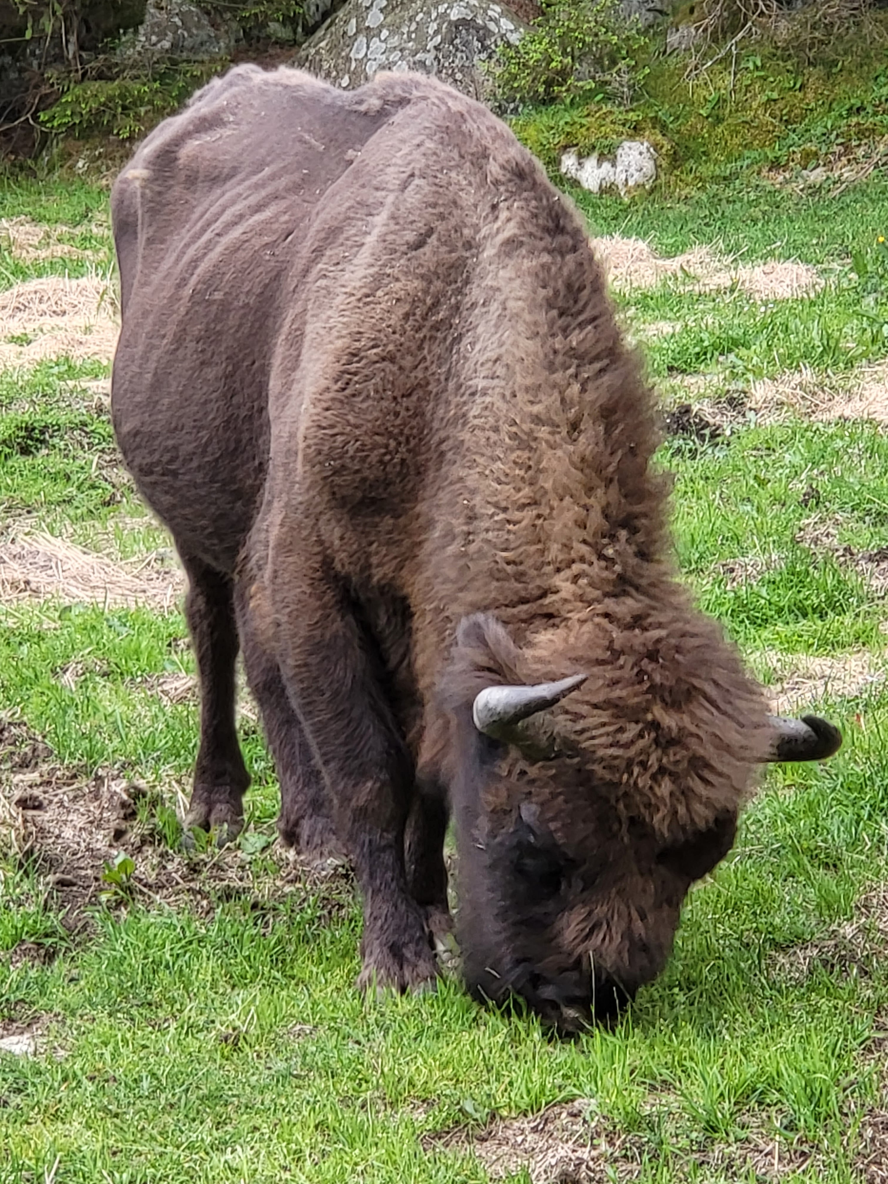 Photo n° 9 de l'avis de Joseph.e fait le 07/06/2023 à 21:11