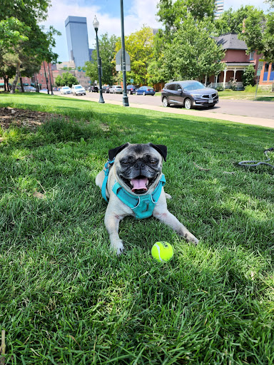 Park «Benedict Fountain Park», reviews and photos, 401 E 20th Ave, Denver, CO 80205, USA