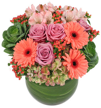 Florist «Blossom Flower Shops», reviews and photos, 275 Mamaroneck Ave, White Plains, NY 10605, USA