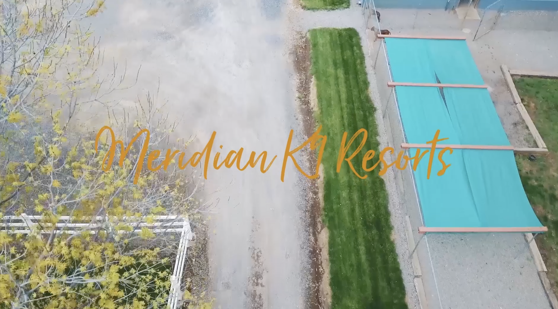 Meridian K9 Resort
