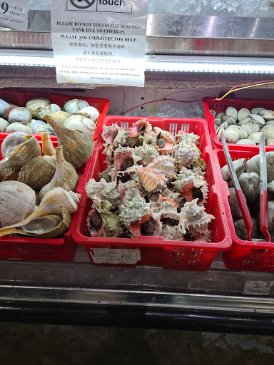 Asian Grocery Store «Viet Hoa Food Market», reviews and photos, 40 N Cleveland St, Memphis, TN 38104, USA