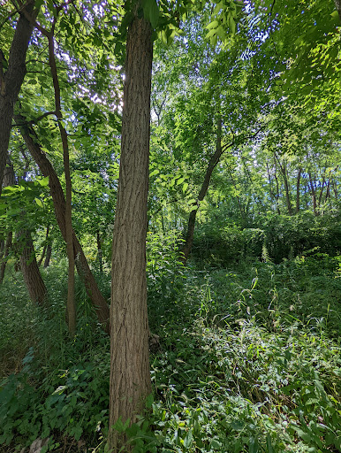 Performing Arts Theater «Prairie Center For the Arts», reviews and photos, 201 Schaumburg Ct, Schaumburg, IL 60193, USA