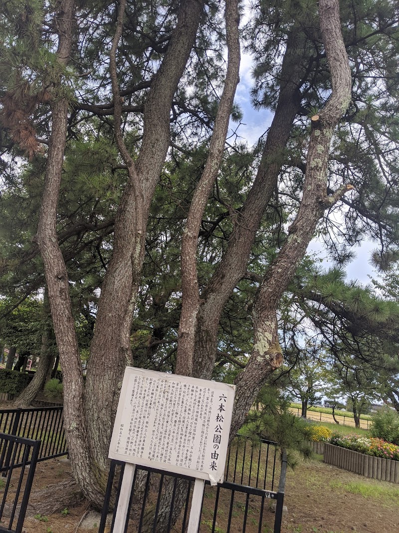青木六本松公園
