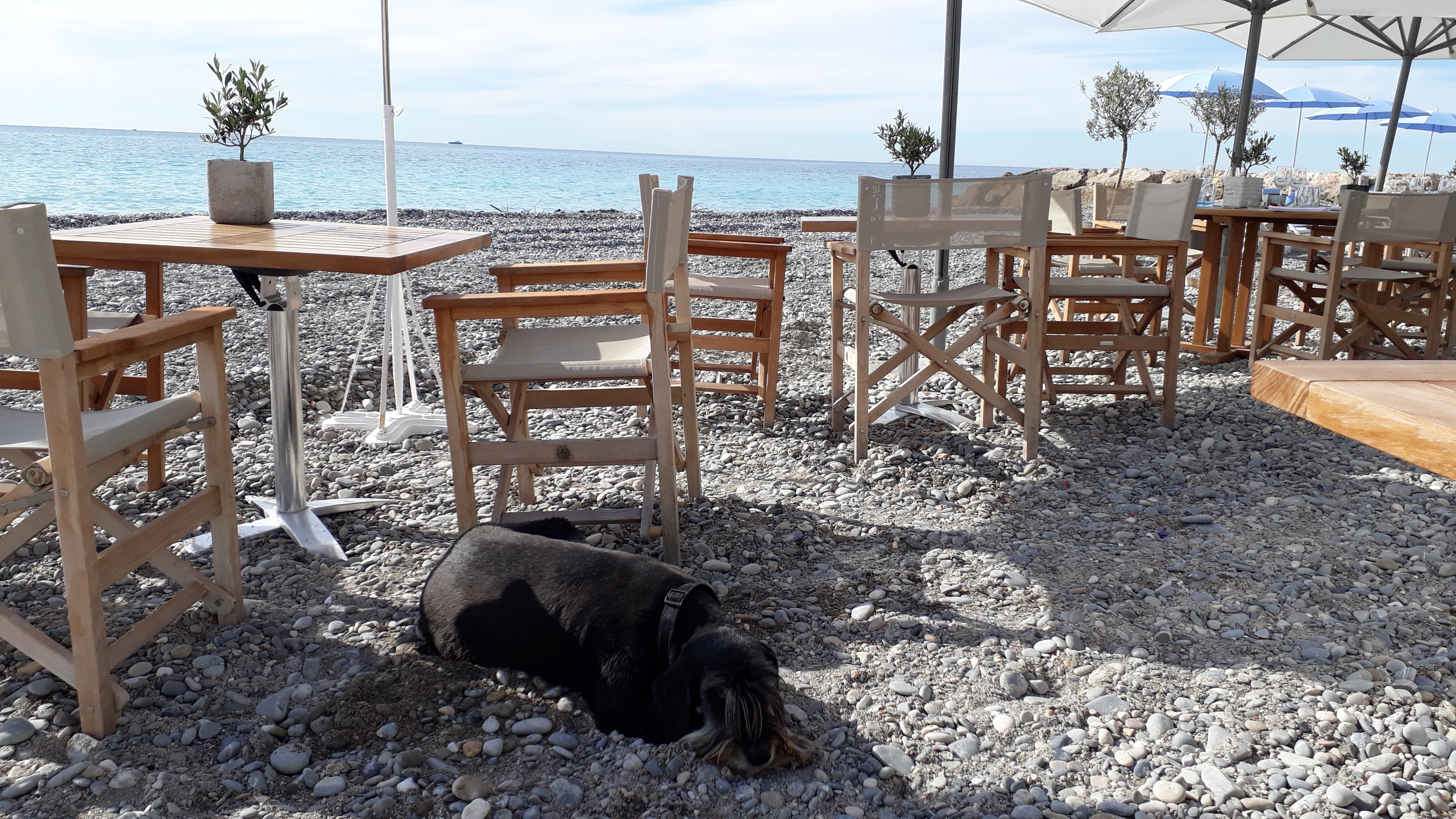 Photo n° 1 de l'avis de Nadia.a fait le 02/05/2019 à 11:33