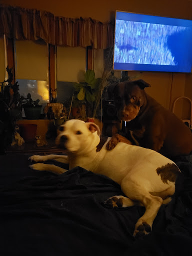 Explore princess bride tattoo ideas, creative tattoo ideas in Erie, available at EliKingInk